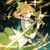 叶星澜·成年
