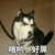 鸟语系统