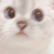 阿梨