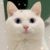 某G