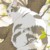 猫猫