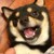 柴六斤