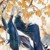 落以（六师兄）