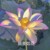 张玉芳