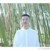 杨九郎