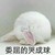 小小白