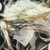 伊莱克斯