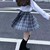 顾辞