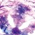 愛麗絲.諾娜