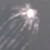 空间游虫