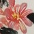 龍?zhí)祝ü恚?/>
                                <p>龍?zhí)祝ü恚?/p>
                            </a>
                        </div>
                    <a href=