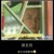 班主任