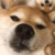 吱吱