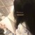 易清安（YH）
