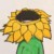 芳芳