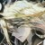 伊莱克斯