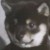柴六斤