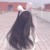 赵小曦
