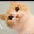 影