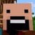 notch