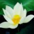 陈美（语文老师）