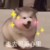 万能配角