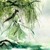 师兄:凌潇一