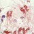作者龟龟