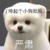 作者大大