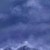 万能龙套