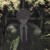 希勒·曼尔