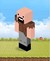 Notch