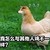 炮灰甲