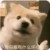 作者