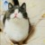 萬能