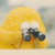 作者