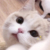 钢铁侠