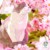 外星人队友2