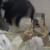 作者奈柔
