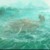 远古大海龟