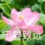 班主任