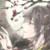花寐雨