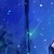 浪星