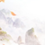 阮言冰