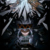 帕洛斯