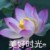 奴仆