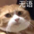 staff