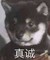 赵子越