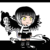 frisk