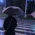 万能角色